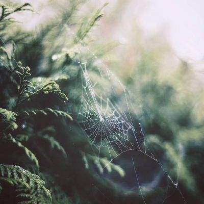 云平台app下载手机版