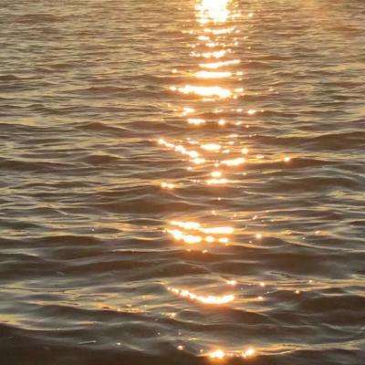 米博体育官方网站入口