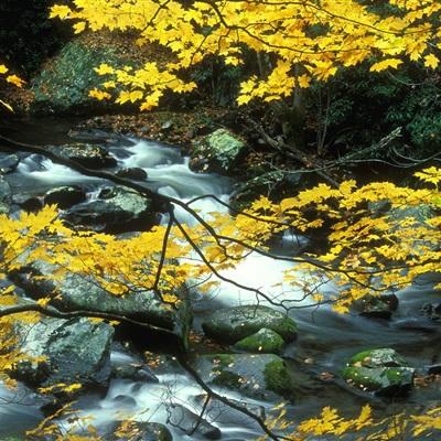 星空官方网站入口